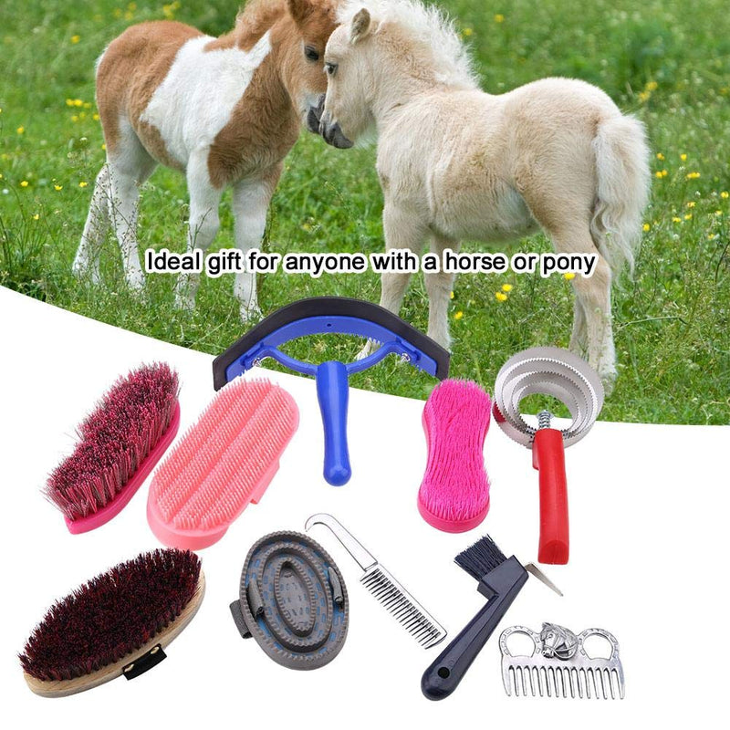 Equine Horse Grooming Kit, Horse Brush Set,10 Piece Equine Care Series Set Horse Cleaning Tool Brush Comb Grips Set questrain Brush Curry Comb Horse Cleaning Tool Set - PawsPlanet Australia