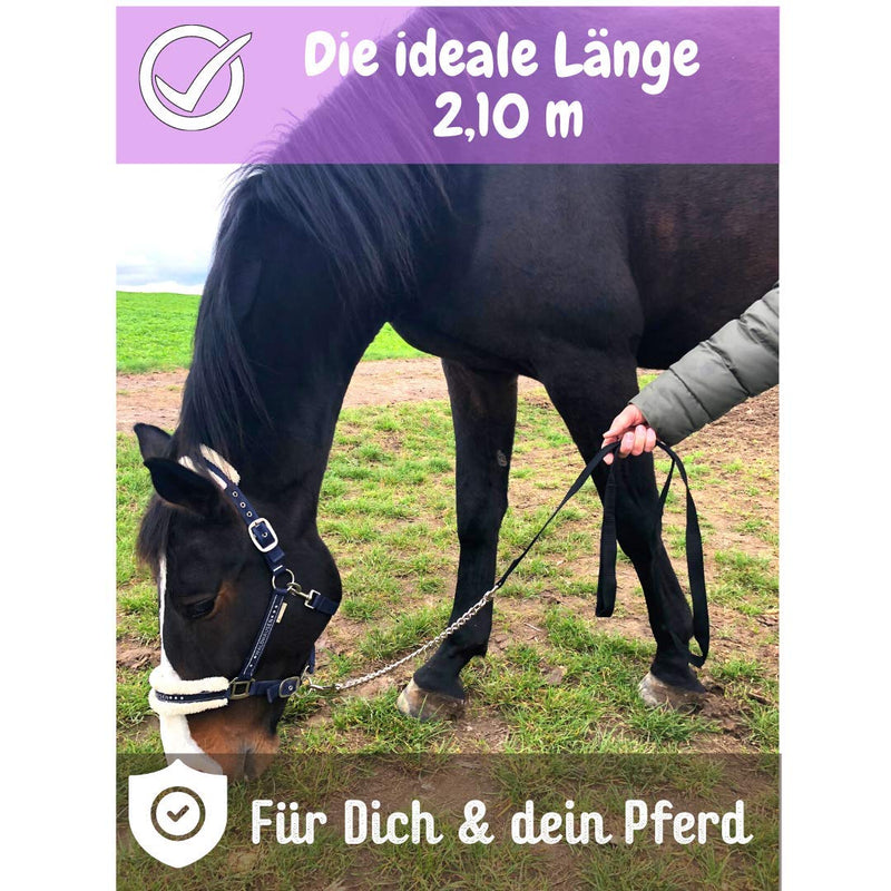 Lead Chain for Horses | Safe Lead with Iron Chain & Nylon Handle | Lead Suitable for Stallion Dogs Pony Donkey | Length 2.10 m (Black) black - PawsPlanet Australia
