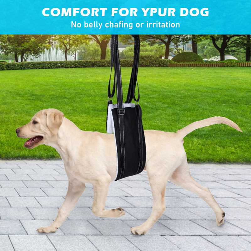 Dog Carrying Aid, Dog Carrying Aid, Adjustable Walking Aid, Dog Walking Aid, Rear Front, Portable Dog Rehabilitation Carrying Strap, and Large Dog Rehabilitation Carrying Strap for Spinal Cord Infarction, Osteoarthritis (L) - PawsPlanet Australia