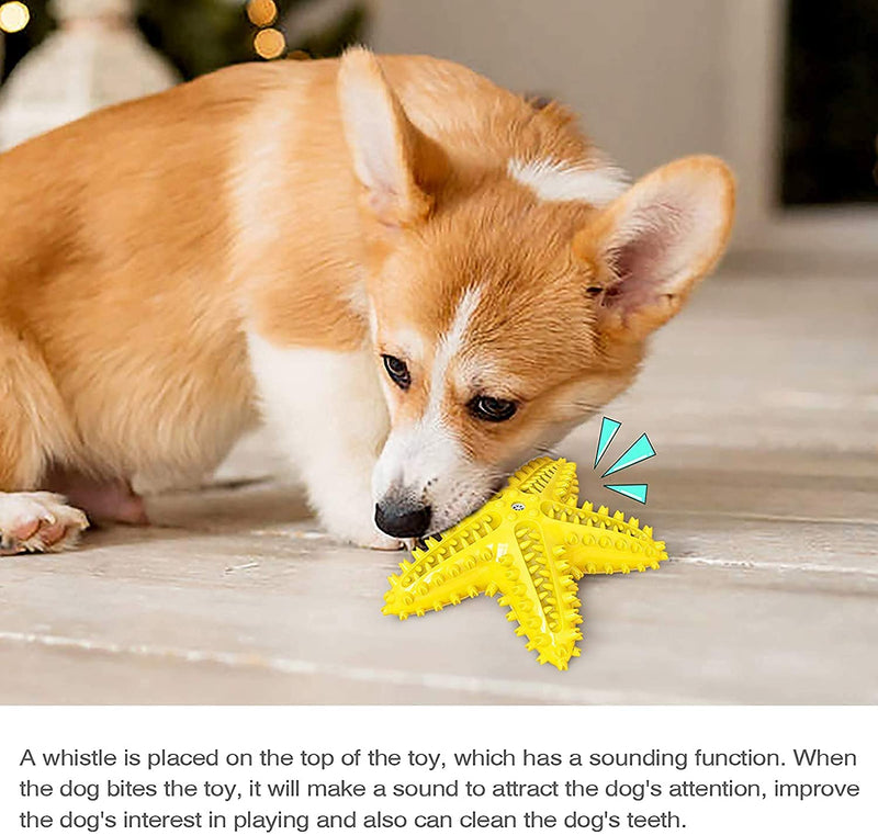 Dog Chew Toy Made with Durable Natural Rubber for Aggressive Chewers, Pet Teething Toys for Playtime and Teeth Cleaning, Dog Toys of Various Shapes starfish - PawsPlanet Australia