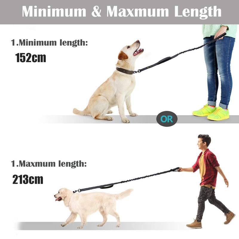 Dog Leash Bungee Double Handle,Shock Absorbing Reflective Elastic Bungee Lead Soft Double Padded 2 Handles for Traffic Safety Control Training, Perfect for Medium to Large Dogs,Black Black - PawsPlanet Australia