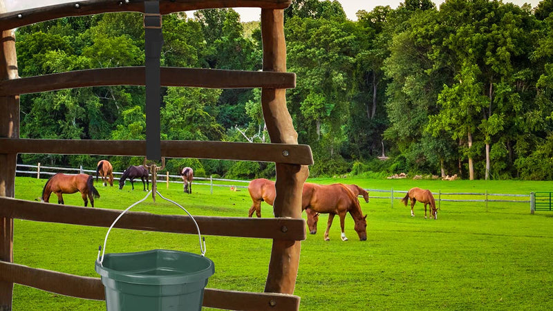 Loaged Adjustable Nylon Bucket Strap （3 Pack）- for Hay Nets, Water Buckets, Hanging Strap,Horse Outdoor Feeders,Heavy Duty Horse Water Feed, 30" Black - PawsPlanet Australia