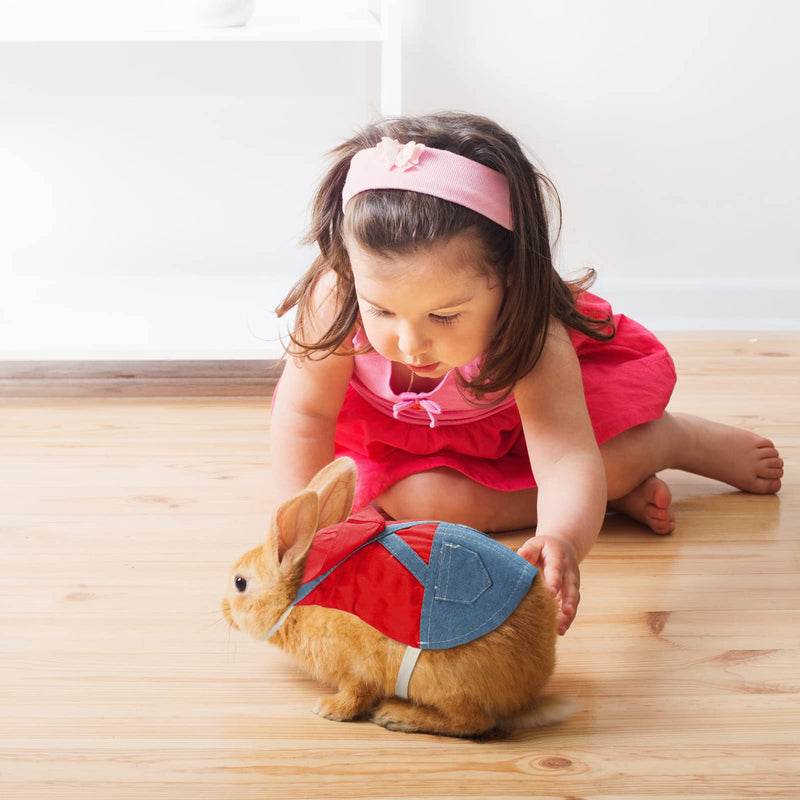 Rabbit Harness and Leash Bunny Stuff Rabbit Walking Harness Bunny Leash and Harness Small Bunny Essentials Bunny Rabbit Harness with Leash for Kitten Puppy Small Pets Walking Cute Color S - PawsPlanet Australia