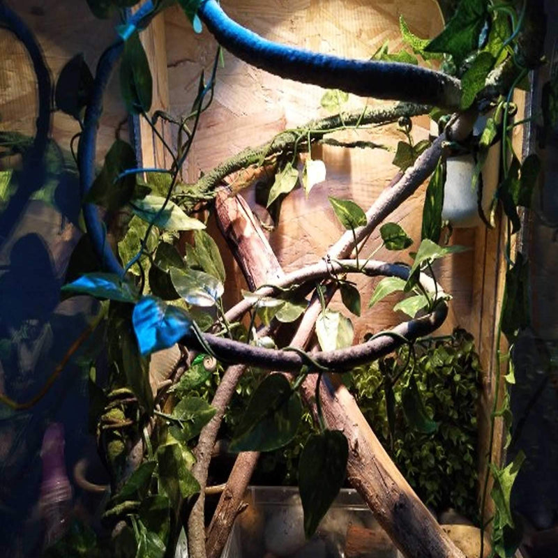 kathson Reptile Plants Hanging Terrarium Plant Bend Branch Jungle Vines Flexible Plastic Boston Climbing Leaves with Suction Cup for Bearded Dragons Lizards Geckos Pets Tank Habitat Decorations 4PCS - PawsPlanet Australia