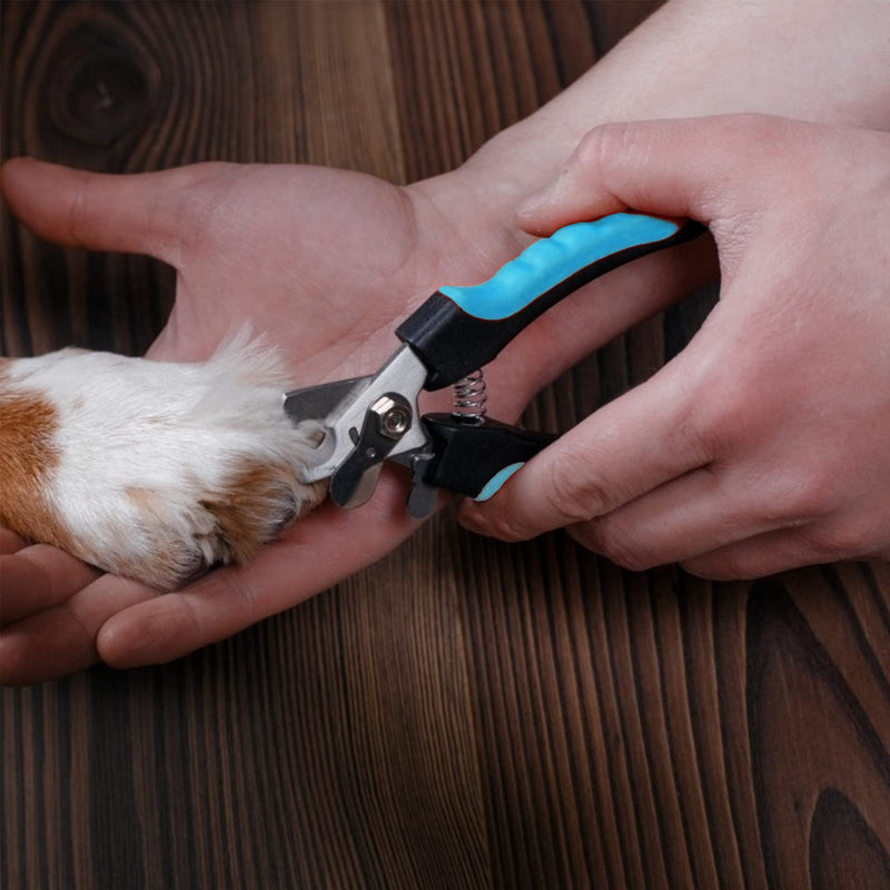 PenuSpt claw scissors for dogs and cats, professional dog and cat claw pliers with protective device, stainless steel claw pliers and nail file, used in beauty, dogs, cats, rabbits (blue L). - PawsPlanet Australia