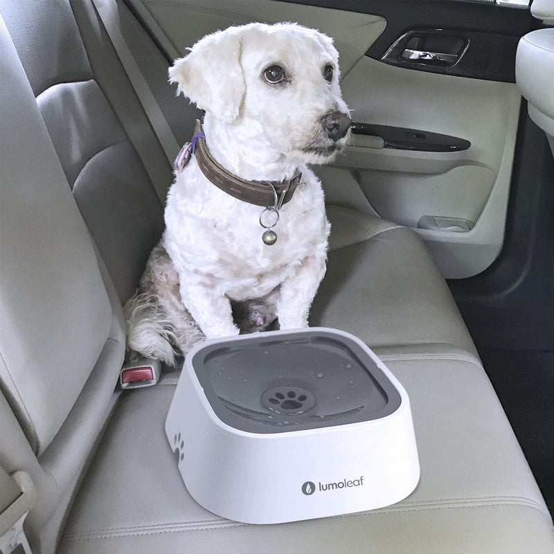 LumoLeaf No-Spill Dog Water Bowl+Cat Tunnel Mat, for Indoor Activities. - PawsPlanet Australia