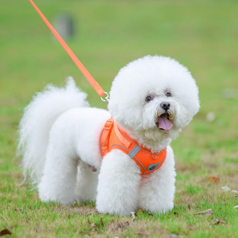 [Australia] - LUCKYPAW Dog Harness and Leash Set for Walking, Escape Proof Vest Harness with Soft Mesh, Adjustable Velcro, Reflective Strips for Kitten Cats and Puppy Dogs XS Orange 