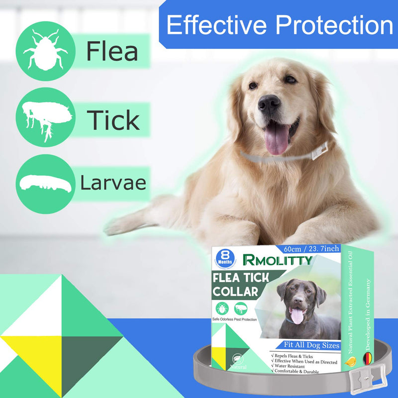 Rmolitty Flea Tick Collar for Dog, Natural Extract Oil Anti Flea Tick Collar 8 Months Protection for Small Medium Large Dogs (blue) blue - PawsPlanet Australia