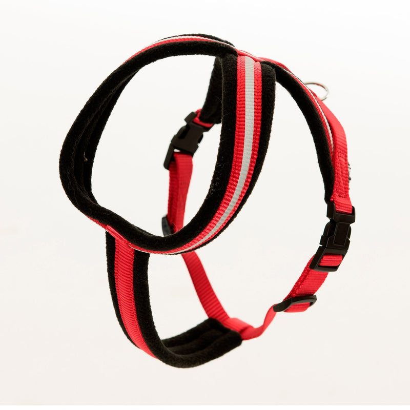 COA Comfy Harness, Toy - PawsPlanet Australia