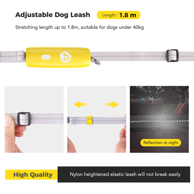 INPHER Dog Lead Dog Leash Innovative Design with Quick Lock Strong Lead Reflective Training Walking Handle for Puppy Small Dogs,6 FT Long,Yellow Yellow - PawsPlanet Australia