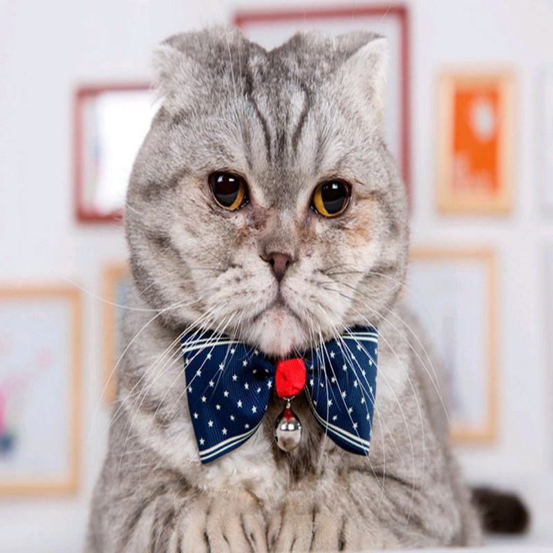 [Australia] - Lebbeen 10pcs/Pack,Cool Gentle Stylish Adjustable Pet Teddy Cat Dog Rabbit Bow Ties Necktie 