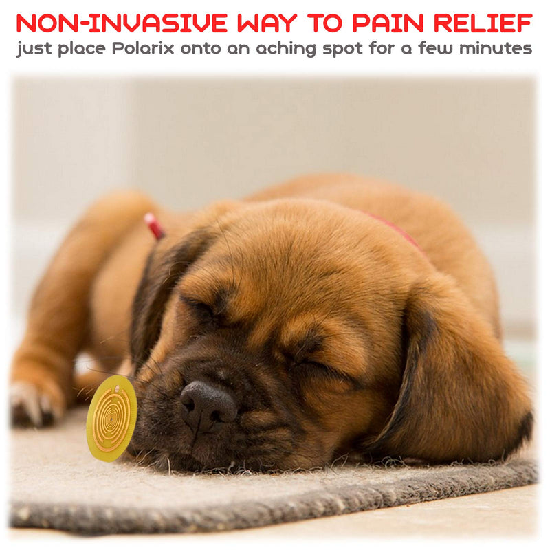 Polarix© for Animals - Pain Relief Disc | Dog Joint Supplement Alternative Medicine | Instant Natural Healing for Dogs Cats Horses & Pets | Chakra Healing Disc Isn`t Dog Toy But Can Become | fi 36 mm - PawsPlanet Australia