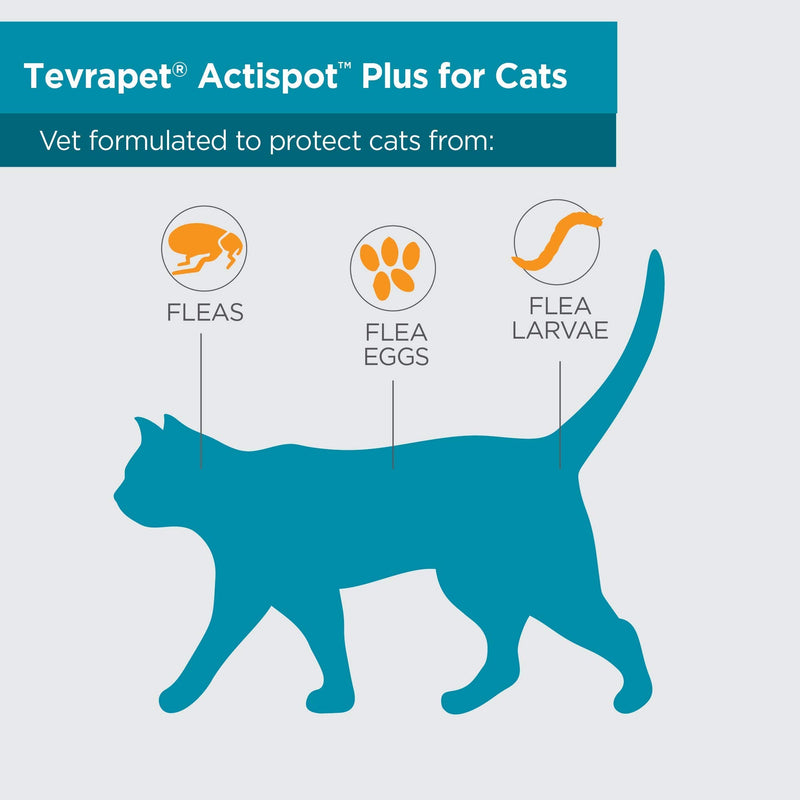 TevraPet Actispot II Flea Treatment for Cats | 6 Monthly Doses | Powerful Prevention and Control Large 9+ lbs - PawsPlanet Australia