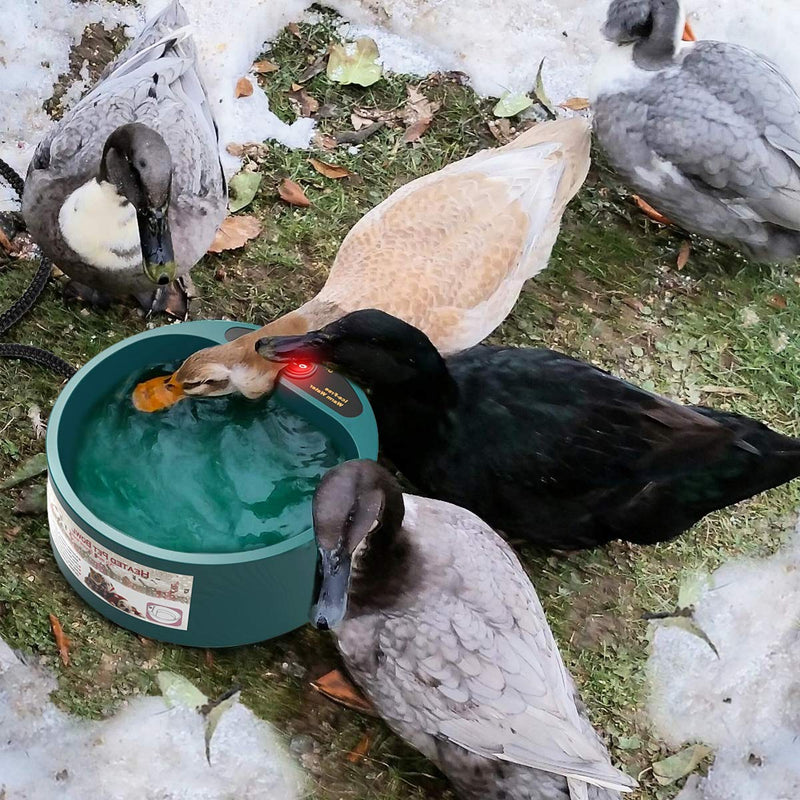 [Australia] - Namsan Heated Pet Bowl Outdoor Dog Thermal-Bowl Provide Drinkable Water in Sub-Freezing Temperature for Cat, Chicken, Squirrels Heated Water Bowl 