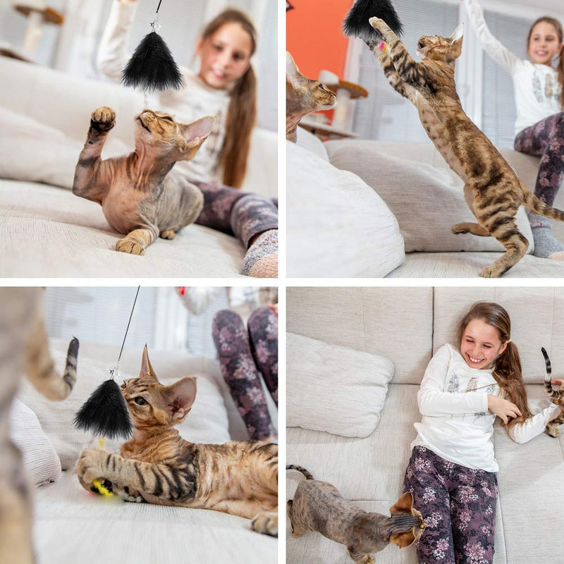 [Australia] - Duoai Retractable Cat Toys Wand,Cat Teaser Toys with 3 Natural Feather and Bell,Cat Toys for Indoor Cats. 2 sections 