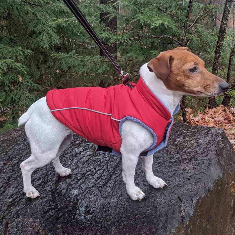 Gooby Sports Dog Vest - Fleece Lined Dog Jacket Coat with D Ring Leash - Reflective Vest Small Dog Sweater, Hook and Loop Closure - Dog Clothes for Small Dogs Girl or Boy for Indoor and Outdoor Use Black X-Small chest (~10.5") - PawsPlanet Australia