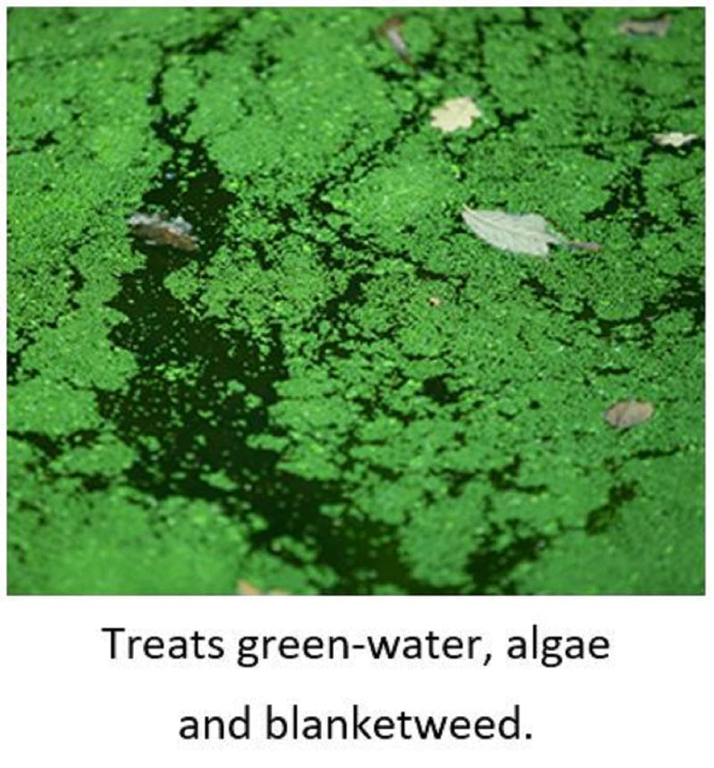 Blagdon Natural Barley Straw Bugs, Clears Green Water, Algae And Blanketweed From Ponds, Pet And Wildlife Safe, 250Ml 250 ml (Pack of 1) - PawsPlanet Australia