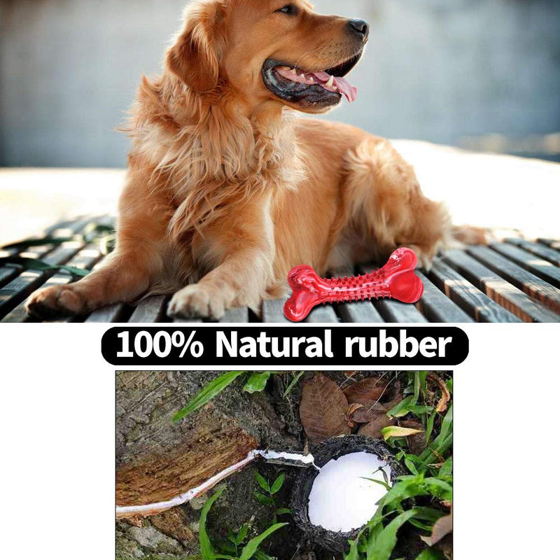 [Australia] - JOYDODY Dog Chew Toys for Aggressive Chewers | Dog Bone Toothbrush Stick for Large Dog Chew Toys & Puppy Dog Toys - Durable Natural Rubber Pet Chews Toy (Beef Flavor) Big 