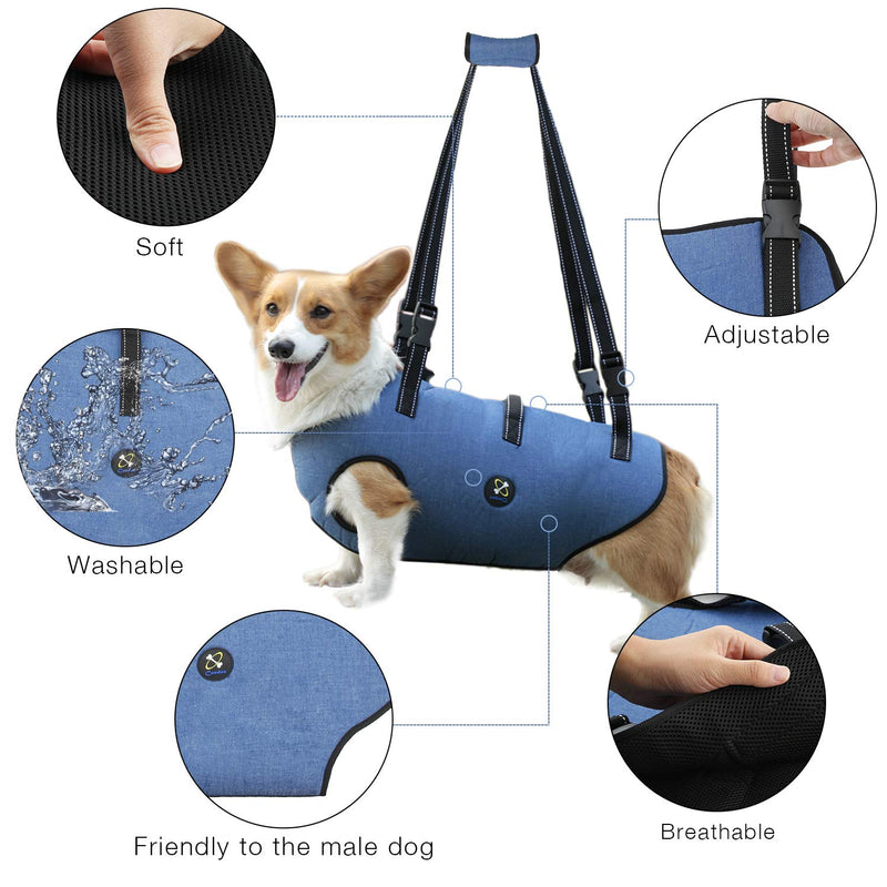 Coodeo Dog Lift Harness, Pet Support & Rehabilitation Sling Lift Adjustable Vest Breathable Straps for Old, Disabled, Joint Injuries, Arthritis, Loss of Stability Dogs Walk Extra Small - PawsPlanet Australia