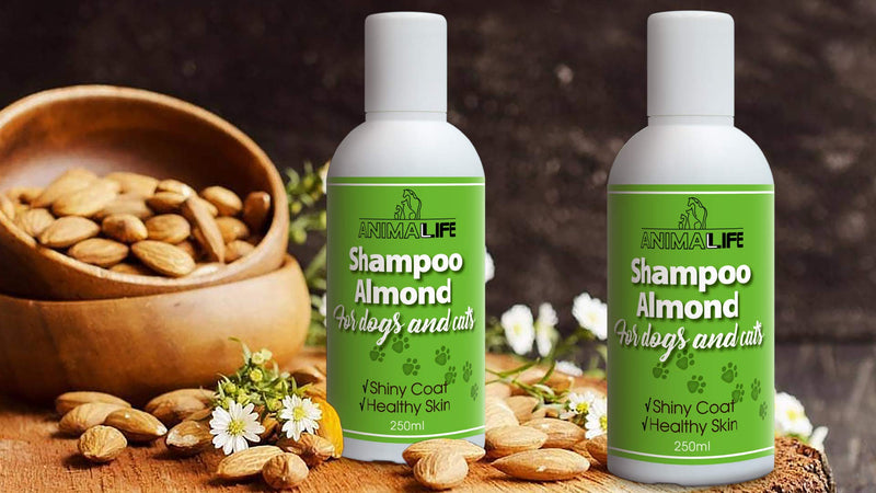Almond Shampoo for Dogs & Cats 500ml - Almond Oil - Lavender & Japanese Mint Essential Oils - Nurturing - Easy Combing - Pleasant Smell - Shiny Coat & Healthy Skin - Silk Proteins - PawsPlanet Australia