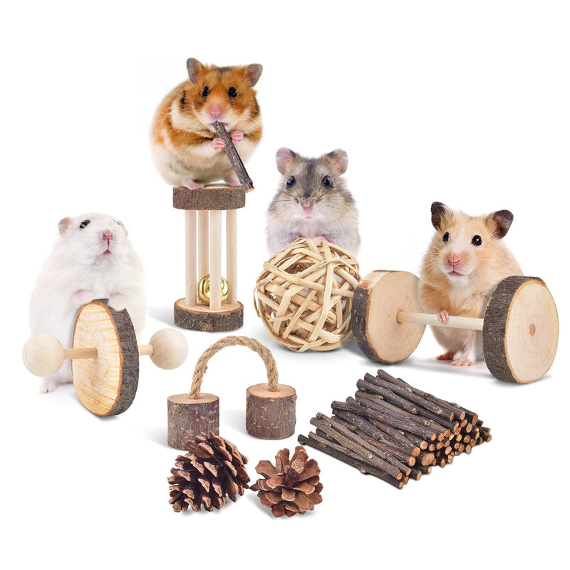 ERKOON 11 Pack Hamster Chew Toys, Small Animal Activity Toys Accessories Molar Teeth Care Natural Apple Wood Ladder Bell Roller for Dwarf Hamsters Rat Guinea Pigs Chinchillas Gerbils Bunnies - PawsPlanet Australia