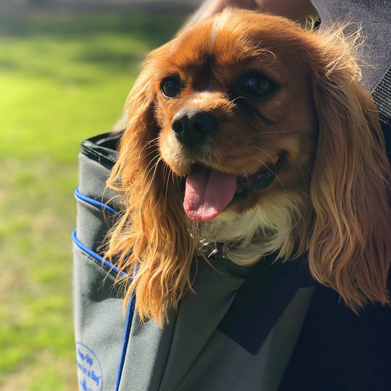 [Australia] - MyDeal Pet Shoulder Bag Sling Carrier with Weather Resistant Oxford Material, 2 Storage Pockets and Net Zipper Top for Puppies, Dogs, Kittens, Cats, Rabbits + More! 