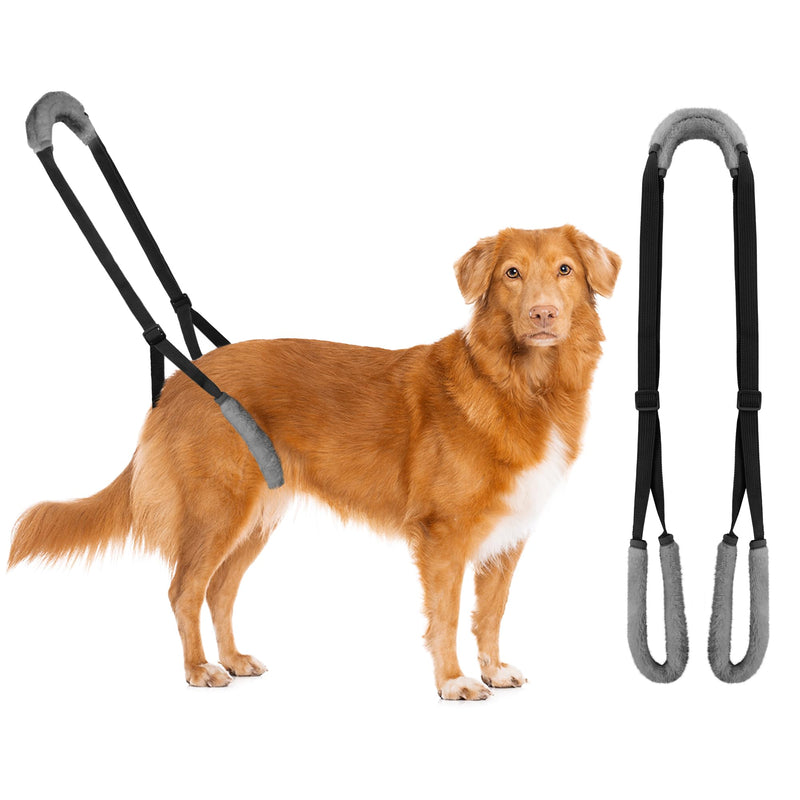 Lollanda walking aid for dogs at the back, carrier for dogs, dog harness for the hind legs, walking aid for dogs to support sick dogs, older dogs, promotes the mobility of the dog (black) black - PawsPlanet Australia