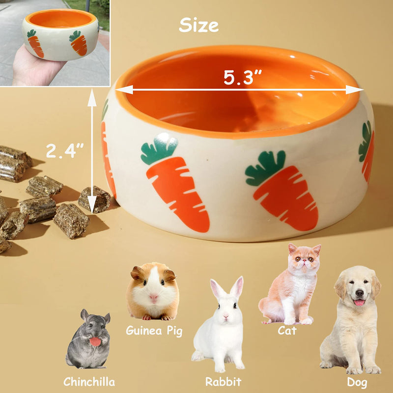 Rabbit Bowl, Ceramic Guinea Pig Food Bowl with Cute Carrot Pattern, Keep from Knocking Over, Food Splashing and Chewing, Small Animal Ceramic Food Bowl for Guinea Pig Rabbit - PawsPlanet Australia