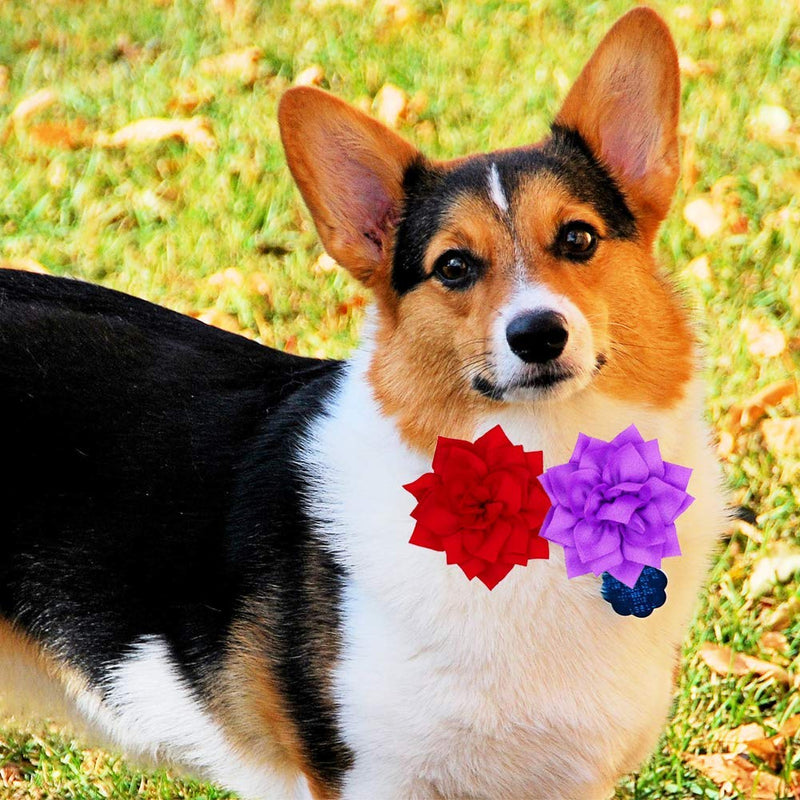 [Australia] - PRUNS Dog Flowers Collar Pet Charms Flower Collars Accessories Cat Puppy Collars Bowtie Grooming Decoration 2 