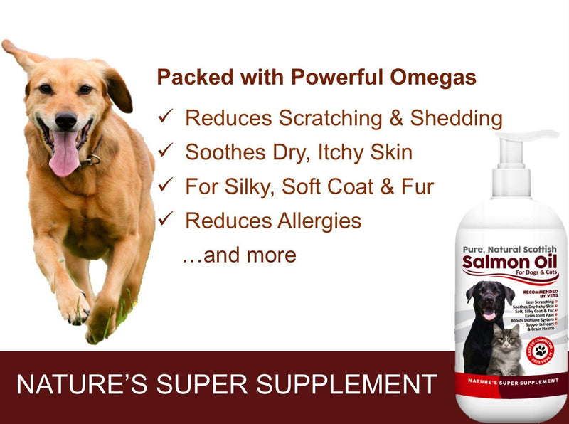 100% Pure, Natural Scottish Salmon Oil For Dogs, Cats, Horses and Pets. Omega 3, 6 & 9 Supplement For Skin, Coat, Joint, Heart & Brain Health. Results in 30 Days or Your Money Back (500ml) 500 ml (Pack of 1) - PawsPlanet Australia