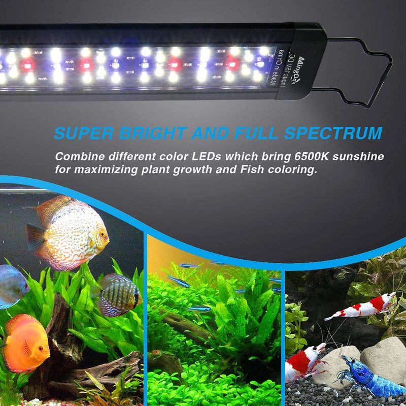 MingDak LED Aquarium Plant Light - Fish Tank Light Fixture,Full Spectrum Aquarium Lighting for Freshwater,White Blue Red Combine LEDs 12-18'' 700lm (Timer Switch) - PawsPlanet Australia