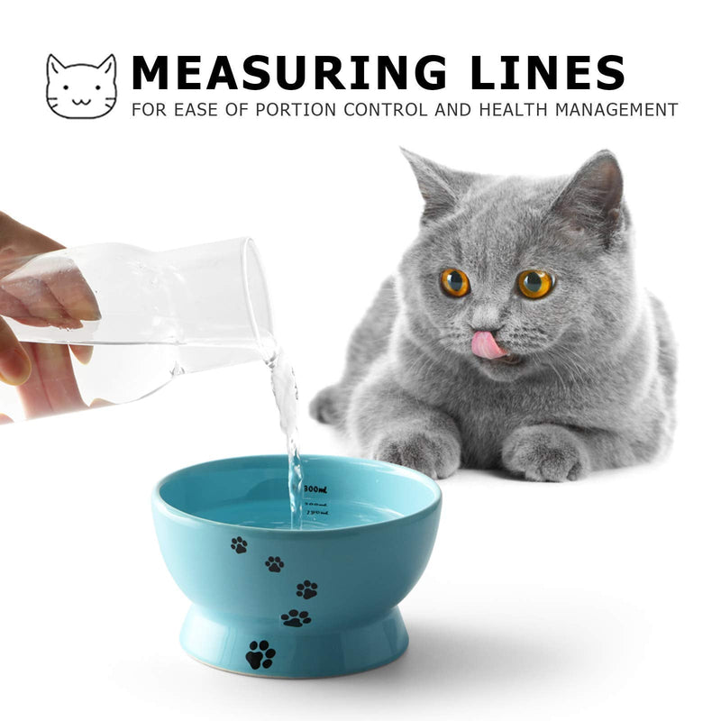 Y YHY Cat Bowls, Raised Cat Food Bowls Anti Vomiting, Tilted Elevated Cat Bowl for Food and Water, Ceramic Pet Food Bowl for Flat-Faced Cats, Small Dogs, Anti Slip Feet, Set of 2, Lake Blue - PawsPlanet Australia