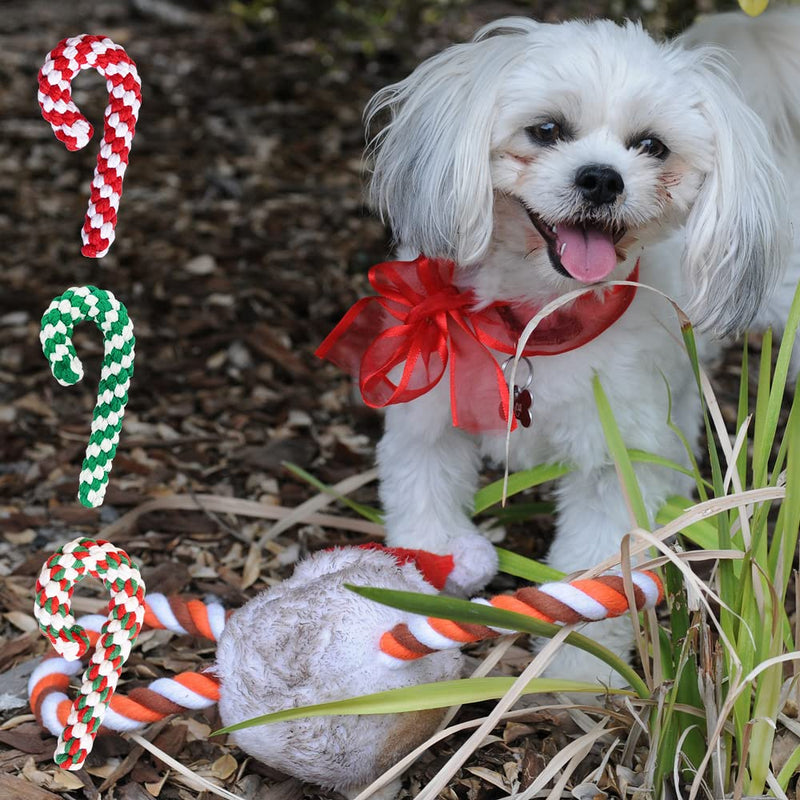 Lircentoud Pack of 3 dog toy rope, dog chew toy Christmas, dog toy Christmas, dog chew toy rope, pet toy Christmas, candy cane toy pet 3 pieces, style 1 - PawsPlanet Australia