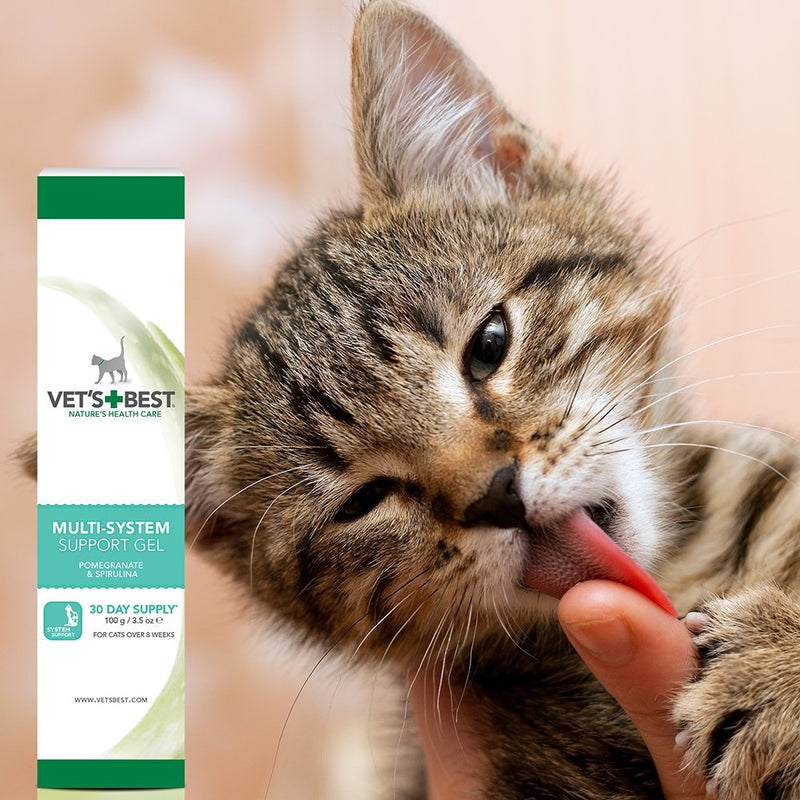 Vet's Best Multi-system support Cat Supplement Gel Promotes Healthy Immune System, 100g - PawsPlanet Australia