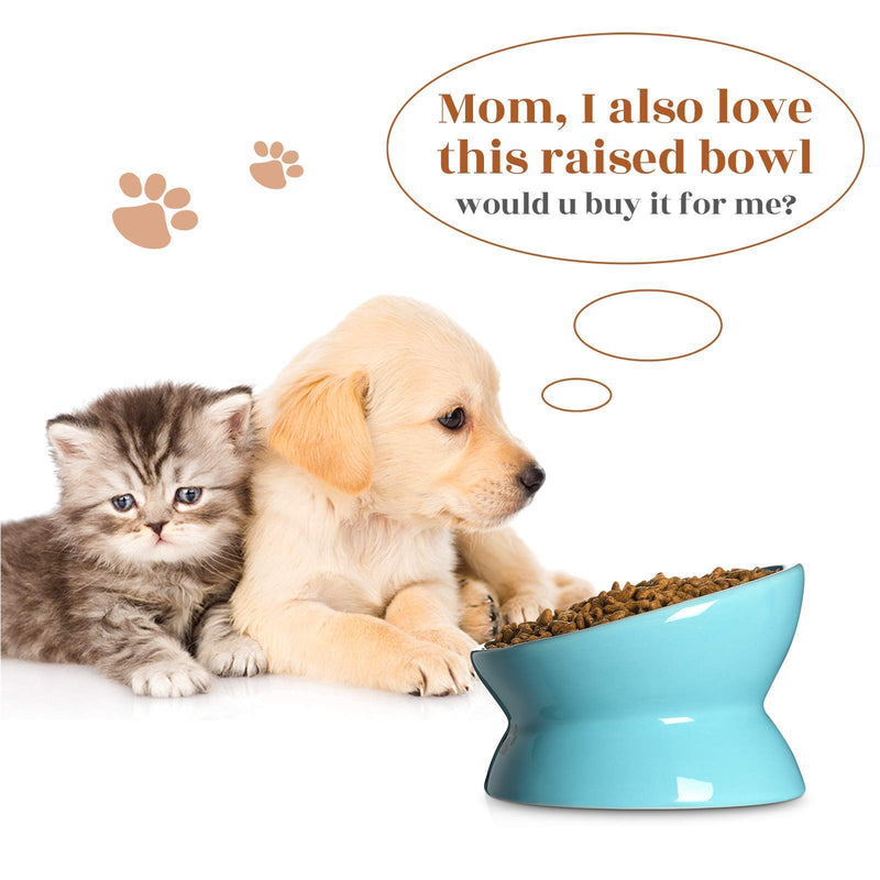 Y YHY Raised Cat Food and Water Bowl Set, Tilted Elevated Cat Food Bowls No Spill, Ceramic Cat Food Feeder Bowl Collection, Pet Bowl for Flat-Faced Cats and Small Dogs, Set of 2, Blue - PawsPlanet Australia