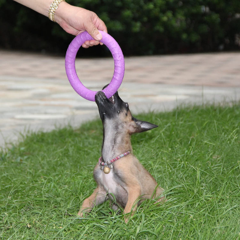 Dog Fitness Ring Dog Bite Ring Dog Training Ring,Pet Dog Outdoor Game Agility Exercise Training Equipment,Tug of War Interactive Training Ring for Small Medium Large Dogs (Purple/Trumpet Ring) Purple Trumpet Ring(Small Dog& Cat) - PawsPlanet Australia
