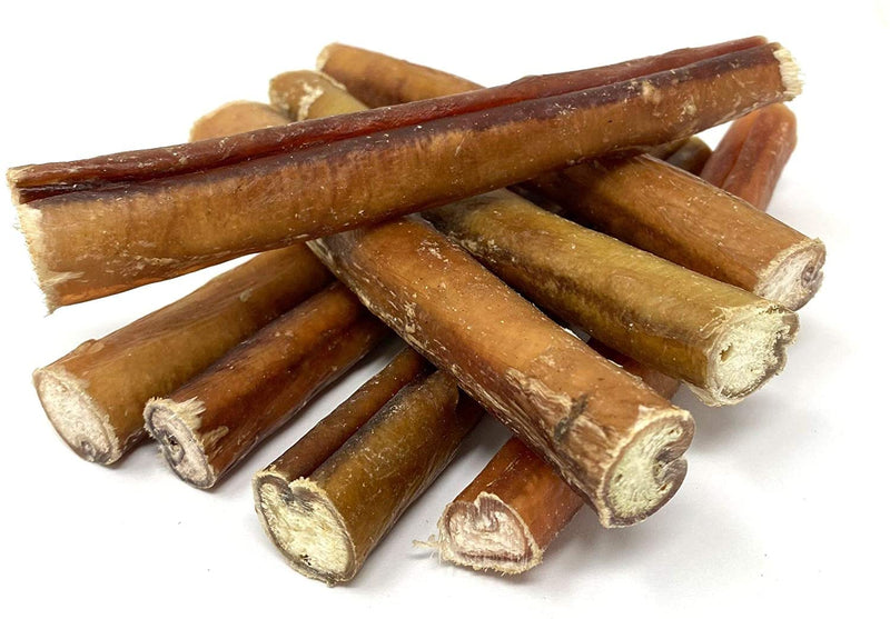 Premium Quality Extra Thick Bulls Pizzles Bully Dental Sticks Dog Treat Chews Treat Dog Food (Pack of 10) 10 Count (Pack of 1) - PawsPlanet Australia