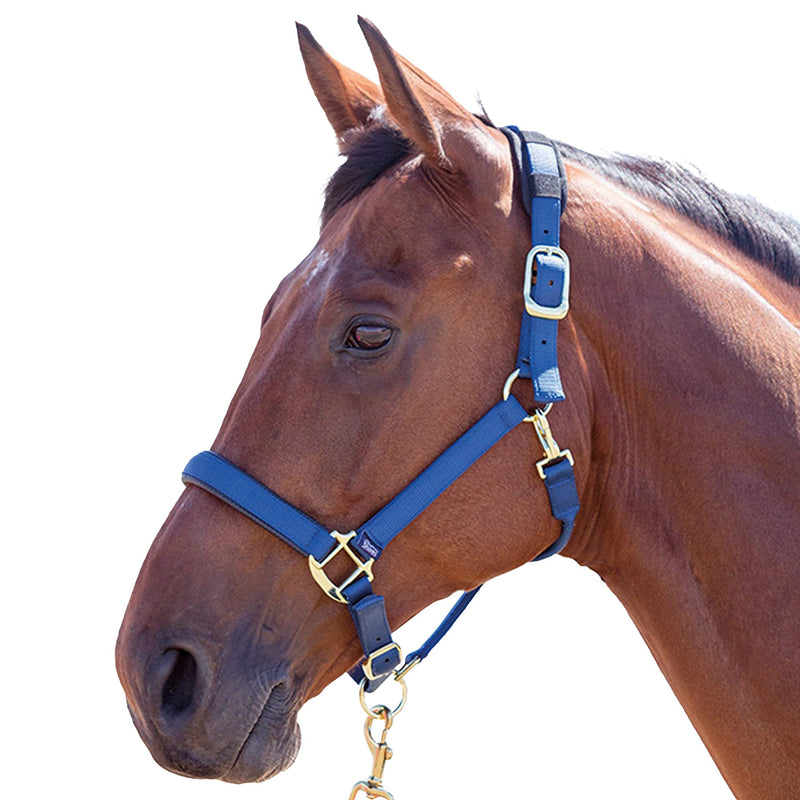 Topaz Nylon Head Collar Red Small Pony - PawsPlanet Australia