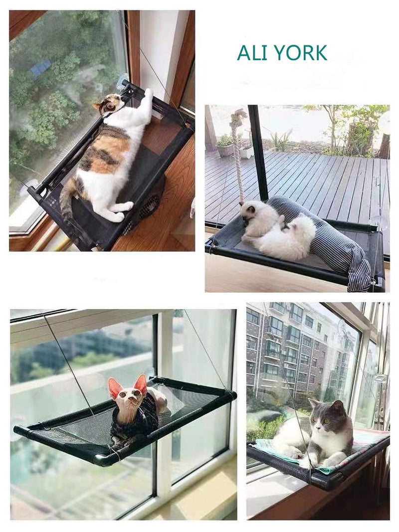 Ali York Cat Window Perch, Cat Hammock Cat Window Seat, Cat Hammocks for Window with Sturdy Screw Suction Cups and Pet Resting Seat, Cat Shelves Cat Perch - PawsPlanet Australia