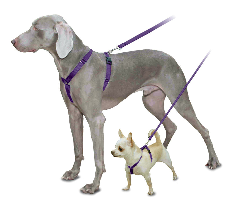 [Australia] - PetSafe Surefit Dog Harness, 3/8" Petite, Deep Purple xs 