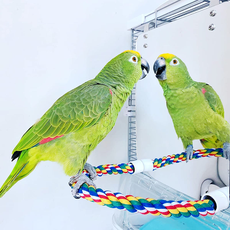 Blessed family Bird Parakeet Mirror for Cage,Parrot Perch Stand,Wooden Hummingbird Swing Toy,Parakeet Accessories for Cockatiels Conure Finch Lovebird Canary African Grey Macaw Plexiglass bird mirror - PawsPlanet Australia