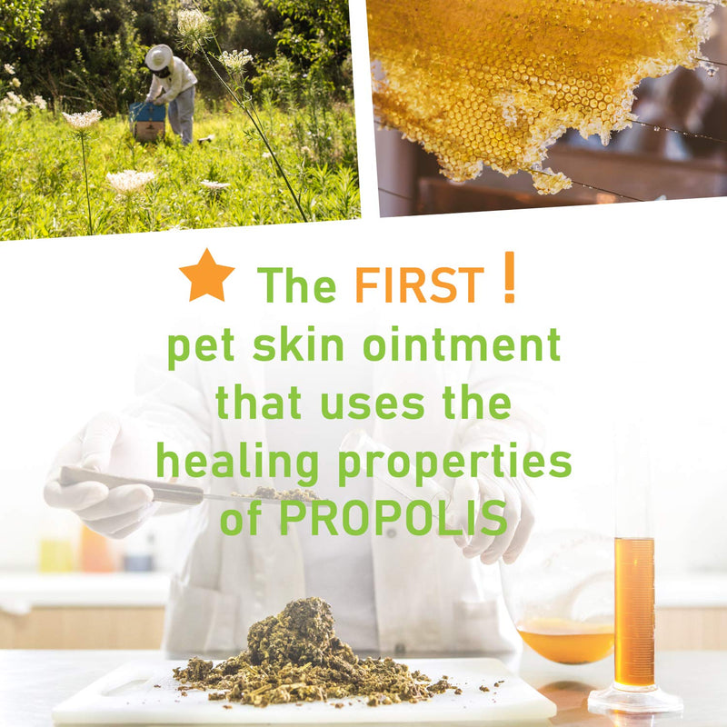 Apivet Natural Skin And Paw Soother - Healing And Protective Ointment With Propolis - For Skin, Paws, Red Spots, Tears, Stains, Itching - 20g - PawsPlanet Australia