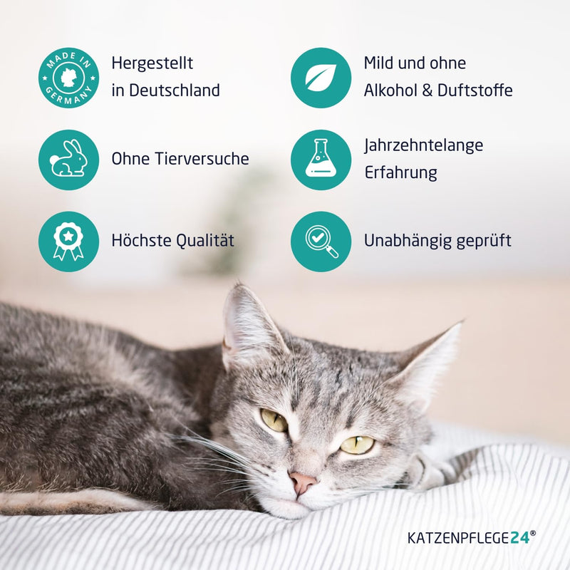 CATZENPFLEGE24 Octenidine wound spray for cats - disinfects, soothes, cares for and protects wounds of all kinds without burning - 125ml with proven active ingredients - effective care and wound disinfection for cats - PawsPlanet Australia