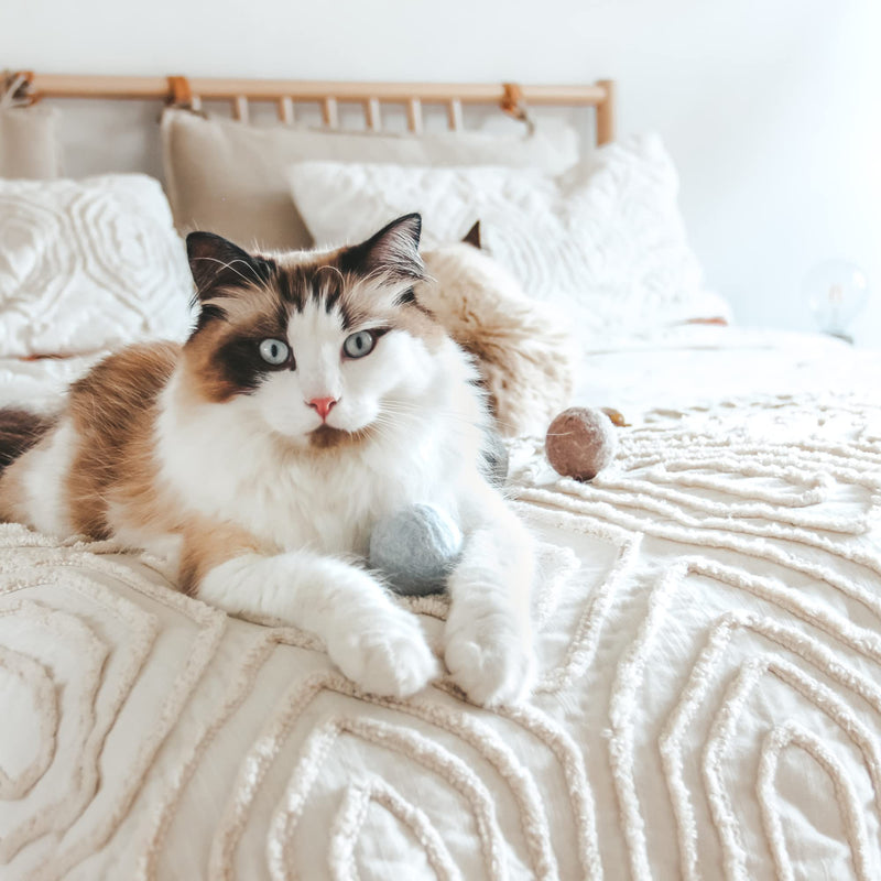 LucyBalu® felt balls with bells for cats | Cat toys | Felt cat balls | Cat toys made of wool | Natural toys for cats | Play balls for cats with bell | 3 pieces - PawsPlanet Australia