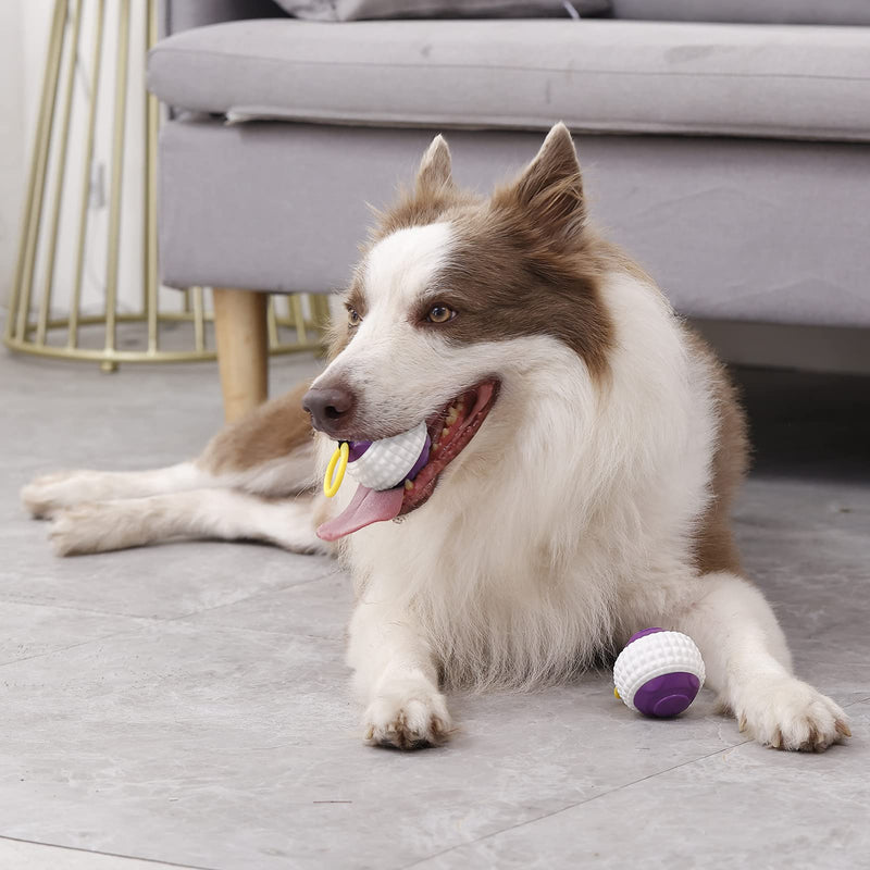 FreeDote Multifunctional pet Dog Toy Hand Throwing Ball, Outdoor Automatic Telescopic Molar Chewing Toy Ball (Purple Gold) - PawsPlanet Australia