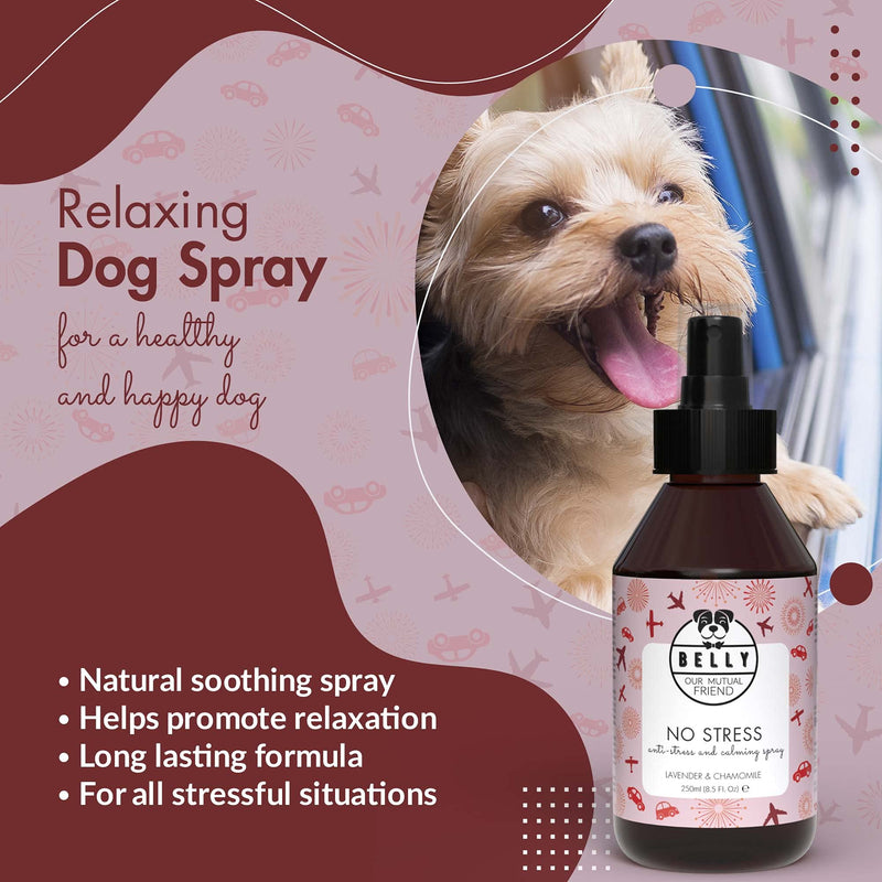 Belly Dog Anxiety Relief Spray - Pet Corrector Spray For Dogs & Puppies - All Natural Pet Remedy Spray & Dog Calming Spray For Dog Anxiety - Dog Calming Products, Nervous Dog Products, 250 ml - PawsPlanet Australia