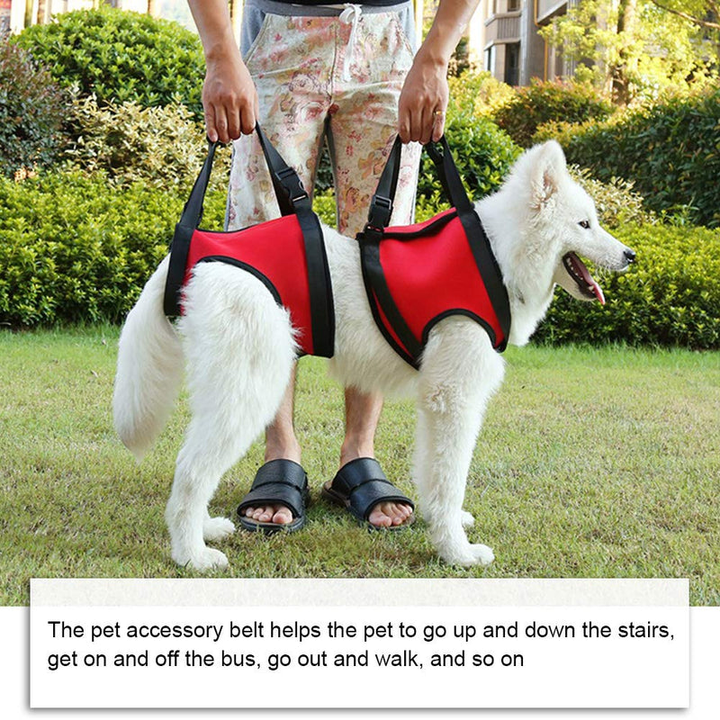 Dog Lift Harness Front Rear Leg Dog Lift Support Sling Back Legs Hip Support Harness Walking Aid for Senior Injured Disabled Joint Injuries Dogs Walk (Rear Leg S) Rear Leg S - PawsPlanet Australia