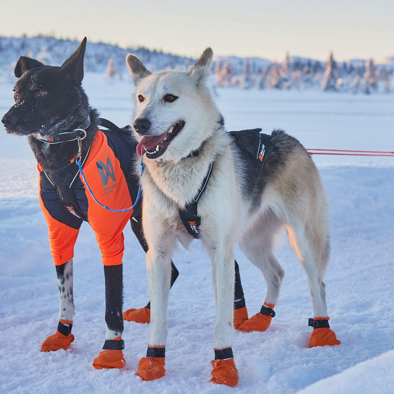 NonStop Dogwear Nansen Nome Harness 5.0, Black (8) - PawsPlanet Australia