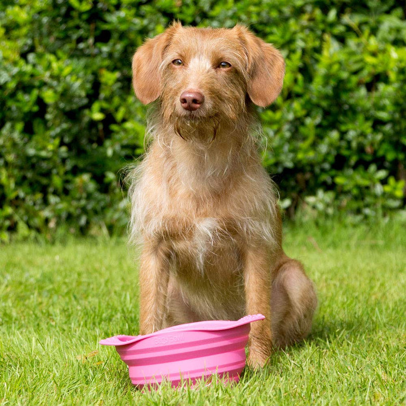 Beco Travel Bowl - Collapsable Silicone Food and Water Bowl for Dogs - M - Pink Medium - PawsPlanet Australia