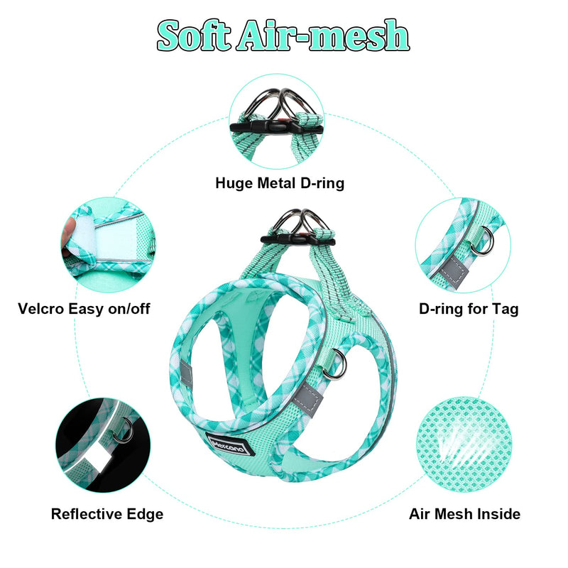 Mercano Soft Mesh Dog Harness and Leash Set, No-Chock Step-in Reflective Breathable Lightweight Easy Walk Escape Proof Vest Harnesses with Safety Buckle for Small Medium Dogs, Cats (Light Green, XXS) XX-Small Light Green - PawsPlanet Australia